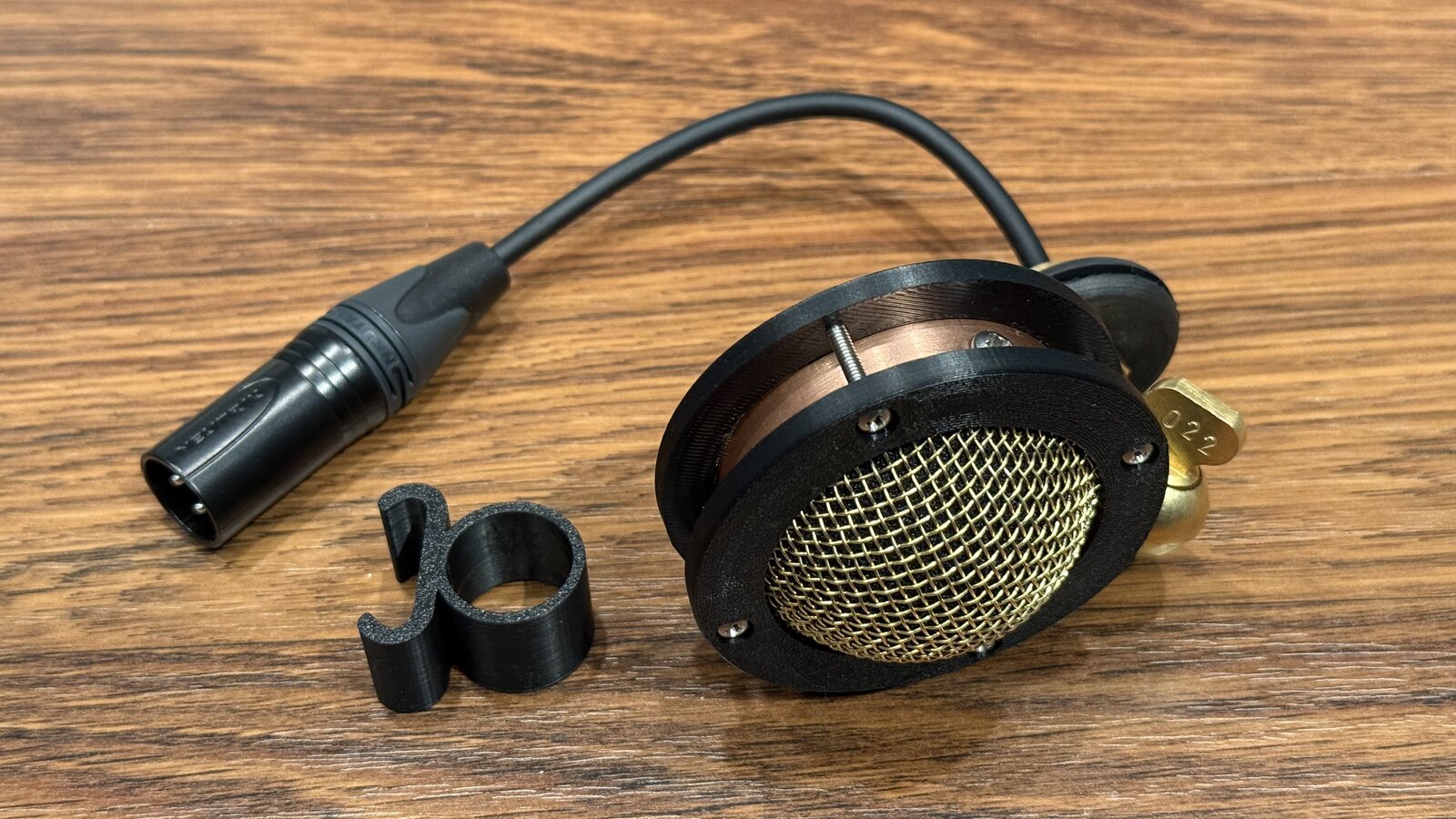 Chester V2 back showing Neutrik XLR connector